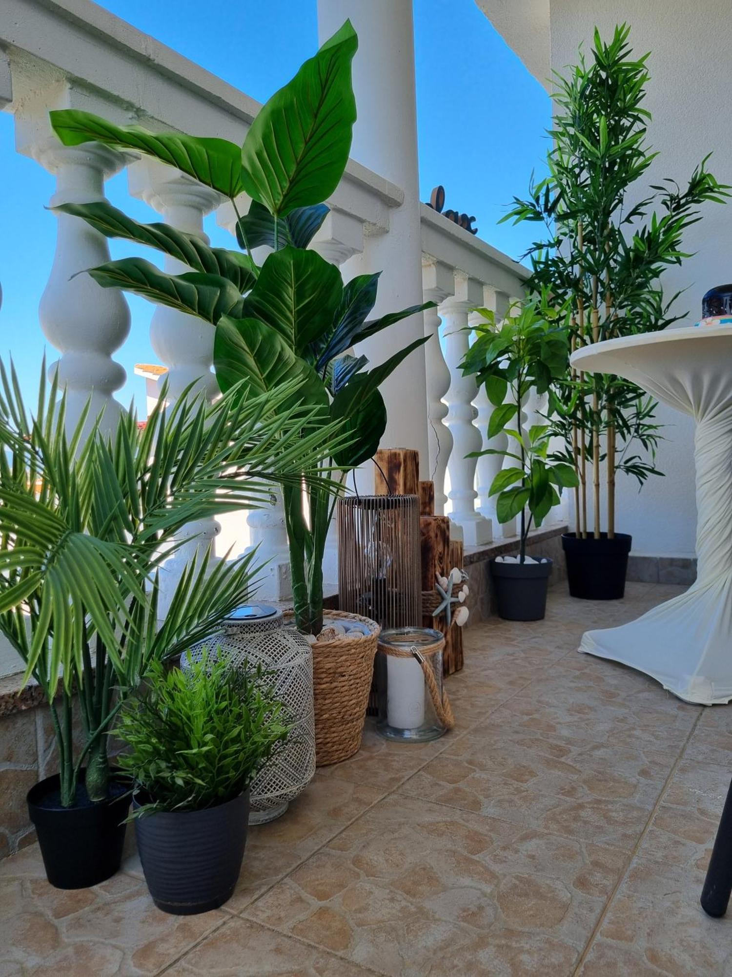Apartmani Zganec บัชกา ภายนอก รูปภาพ